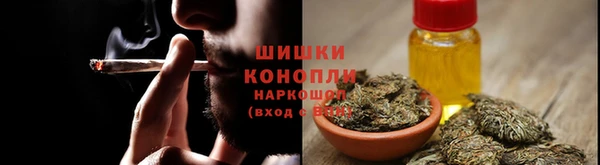 ПСИЛОЦИБИНОВЫЕ ГРИБЫ Заволжье