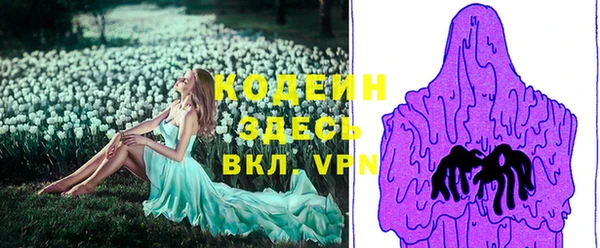 ПСИЛОЦИБИНОВЫЕ ГРИБЫ Заволжье