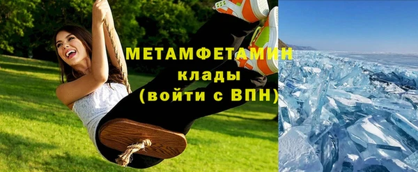 ПСИЛОЦИБИНОВЫЕ ГРИБЫ Заволжье