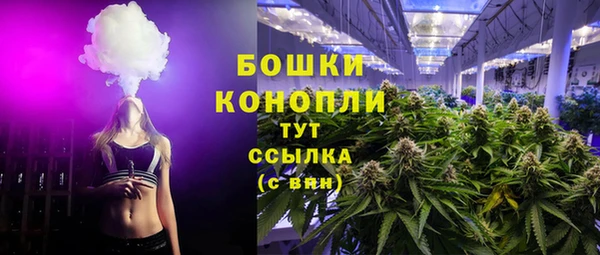 ПСИЛОЦИБИНОВЫЕ ГРИБЫ Заволжье