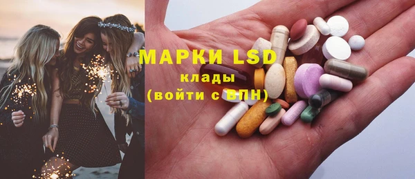 ПСИЛОЦИБИНОВЫЕ ГРИБЫ Заволжье