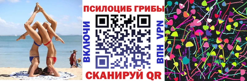 Купить закладки  Борзя  Псилоцибиновые грибы мухоморы 